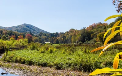 Highlands Realty and Sea Glass Announce Strategic Co-Branding Partnership to Expand Presence in Southwest Virginia
