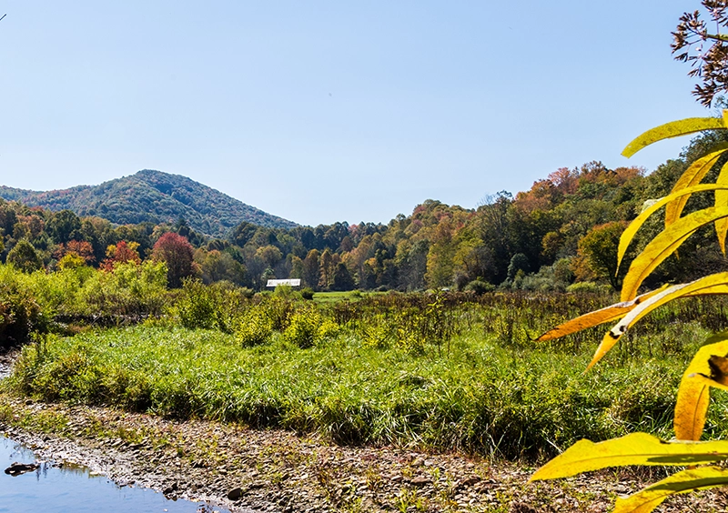 Highlands Realty and Sea Glass Announce Strategic Co-Branding Partnership to Expand Presence in Southwest Virginia