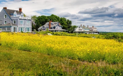 Premiere Properties Announces Co-Brand with Sea Glass, Expanding Its Coastal Real Estate Presence